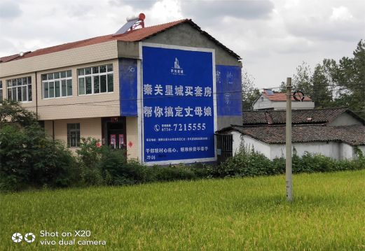 富县决定墙体广告价格的因素有哪些?